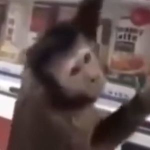 Meet your Posher, Luke